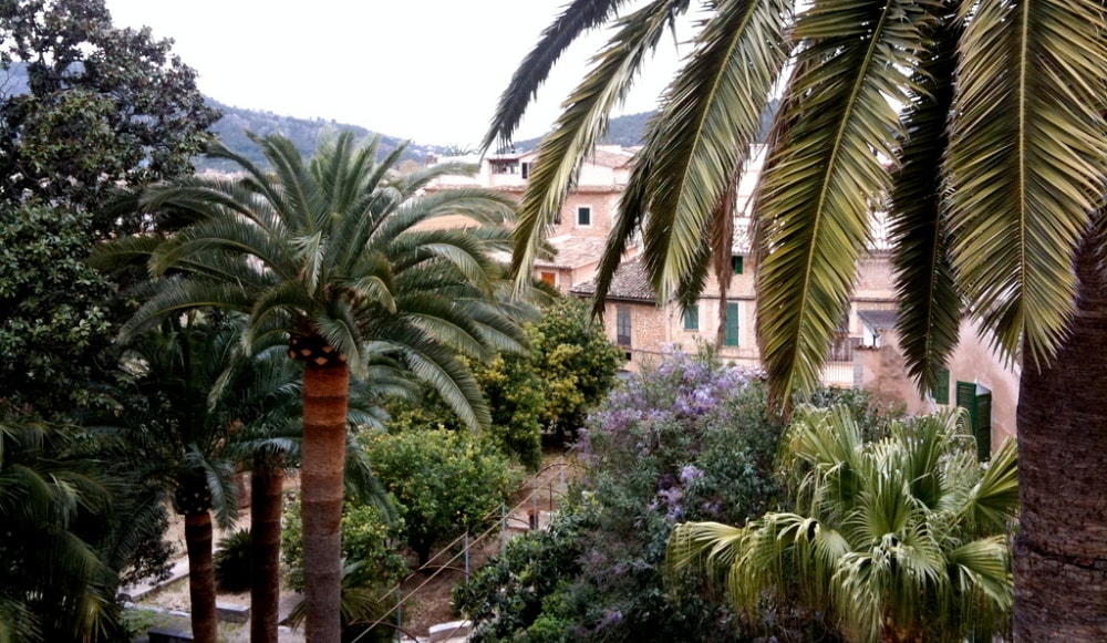 Soller Town property view.