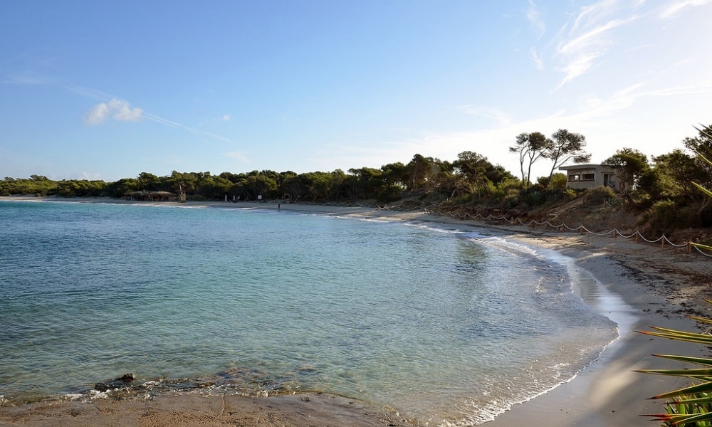 beach-of-colonia-san-jordi-mallorca-min