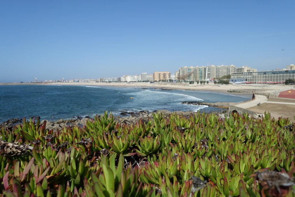 Matosinhos, Oporto