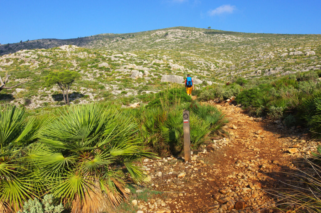 Trail through Drystone Route (Ruta de Pedra en Sec) in S'Arracó, Mallorca