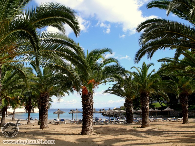 Beach in Cala Vinyas, Mallorca