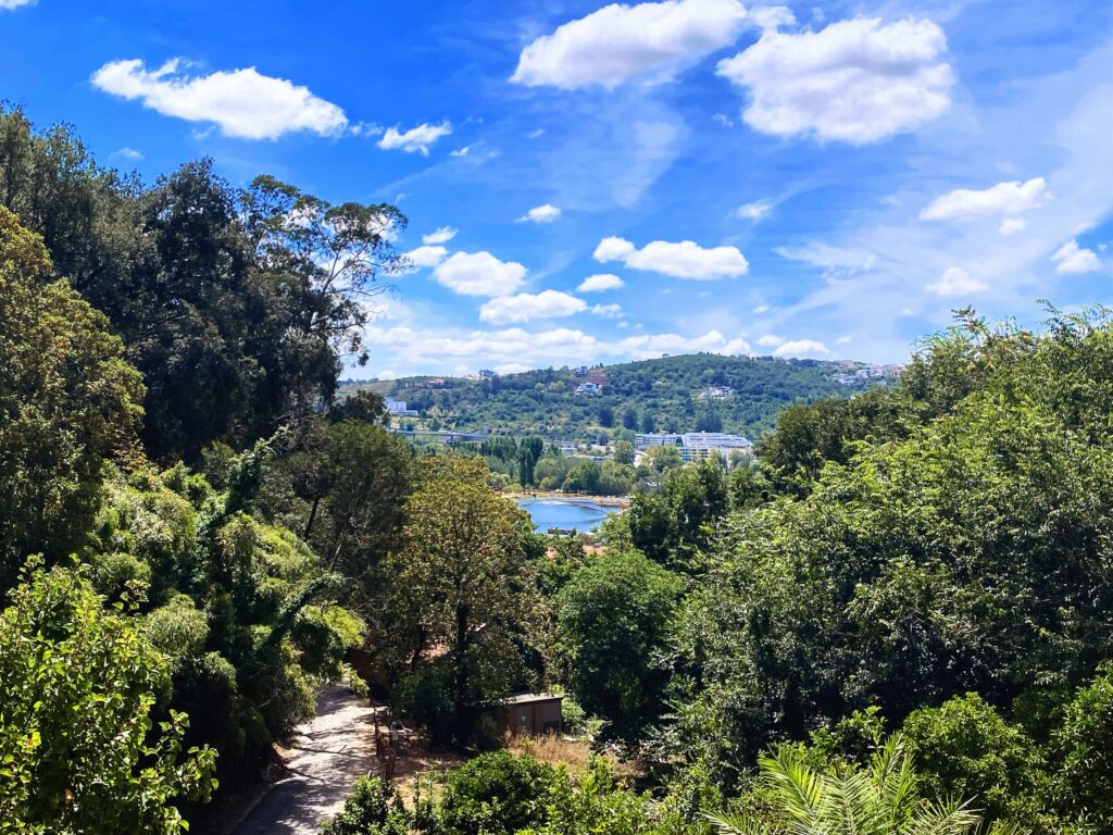 Jardim Botânico da Universidade de Coimbra, Portugal