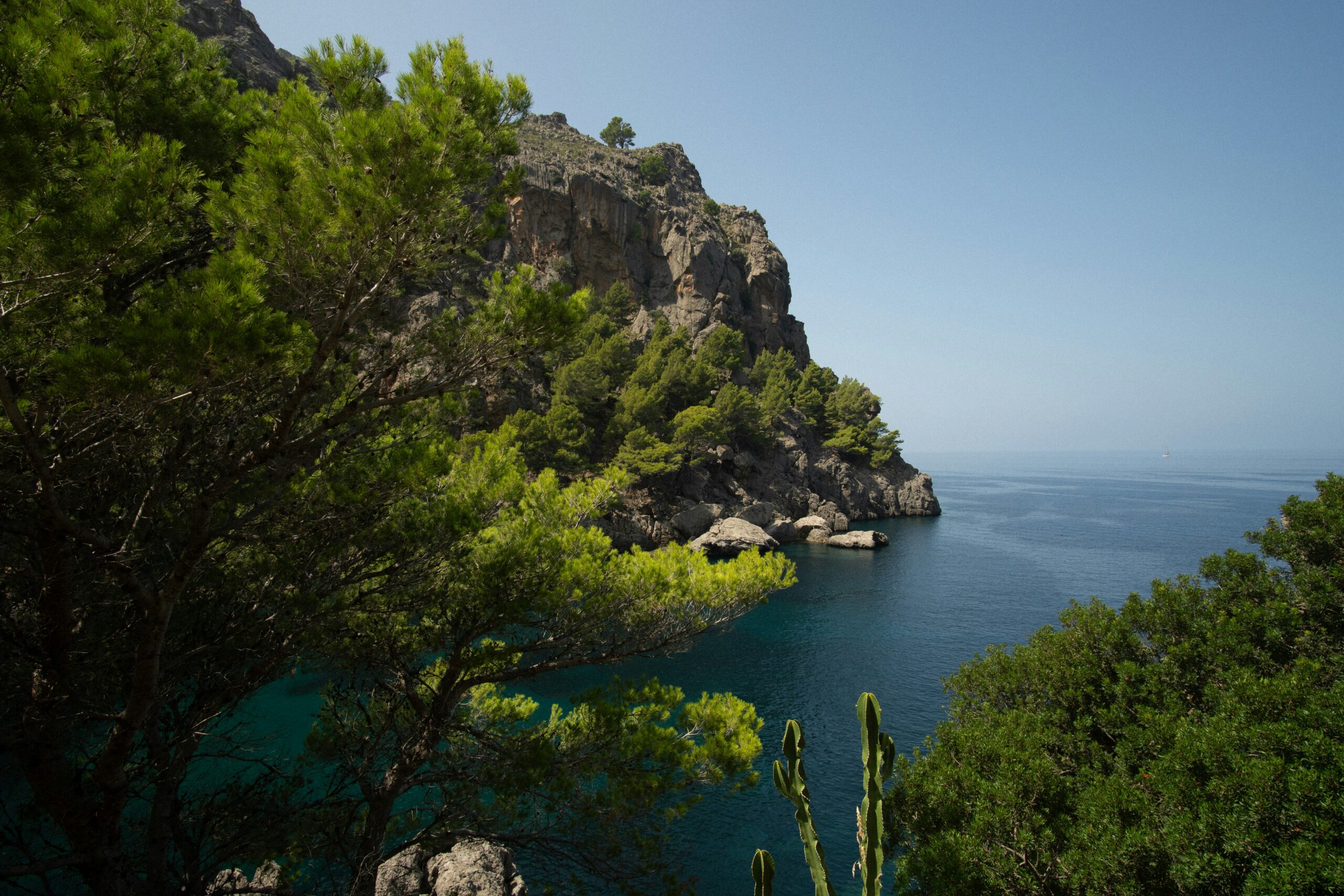 Mallorca and the sea